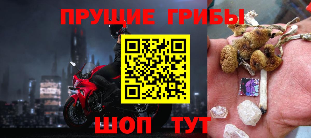 Бузулук  купить наркотики сайты  Вход с VPN  Псилоцибиновые грибы Cubensis 
